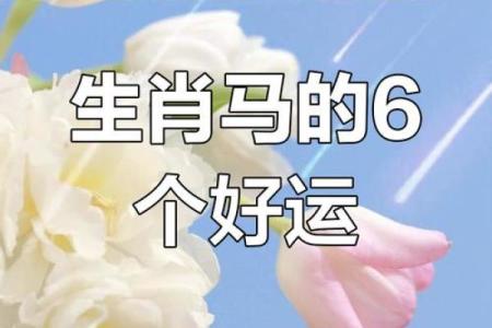属马出生最好六个吉日 属马的出生吉日