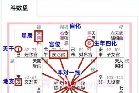 紫薇斗数拍盘