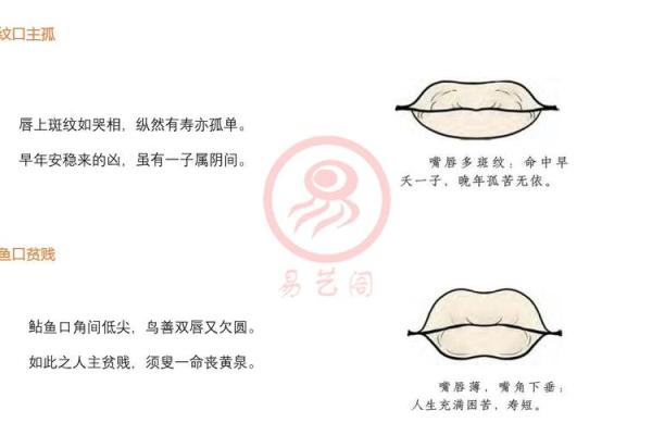 星座所主与断式口诀_六合 星座所主与断式口诀_六合