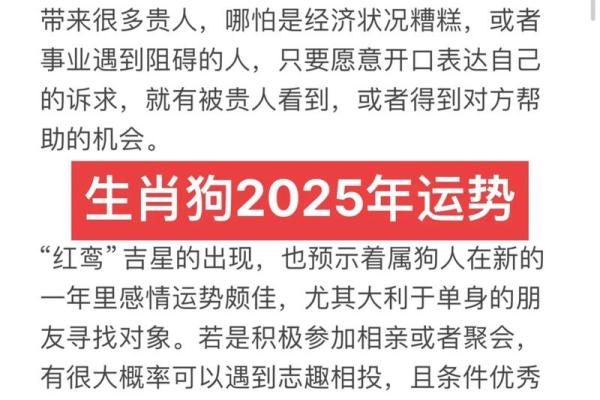 看日子选吉日 2024年十一月生肖狗结婚的良辰吉日查询 看日子选吉日 2024年十一月生肖狗结婚的良辰吉日查询