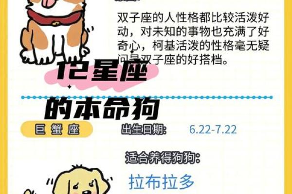 哪个星座最喜欢养动物的 哪个星座最喜欢养动物的