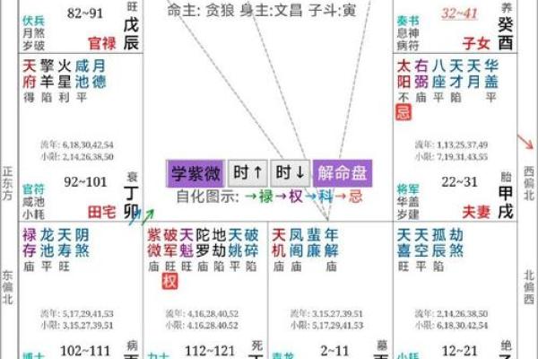 紫微斗数之夫妻宫在丑宫，是什么意思？