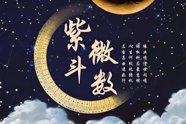 陈彦廷紫薇斗数书 陈彦廷紫薇斗数书