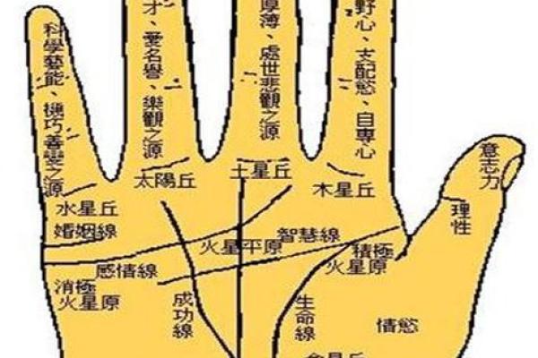 一斗穷二斗富指纹算命 手相运势分析 一斗穷二斗富指纹算命 手相运势分析