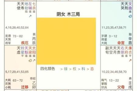 紫微斗数诸星落命宫之：华盖星详解