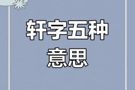 名字测试打分免费的轩