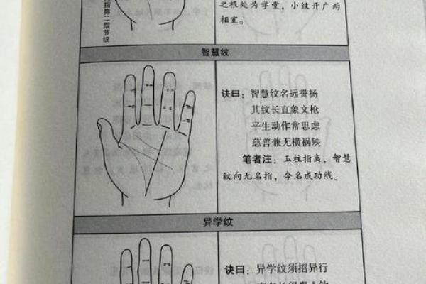 看手纹测命运图解 手相学图解算命大全 看手纹测命运图解 手相学图解算命大全