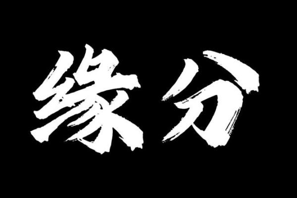 免费缘分测试视频下载网 在线缘分测试免费? 免费缘分测试视频下载网 在线缘分测试免费?