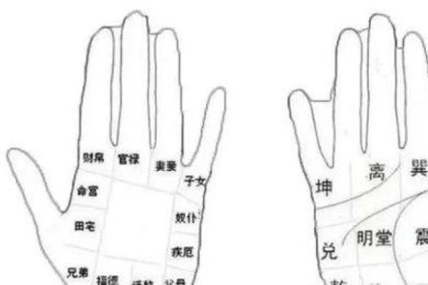 手掌印算命 手掌印算命