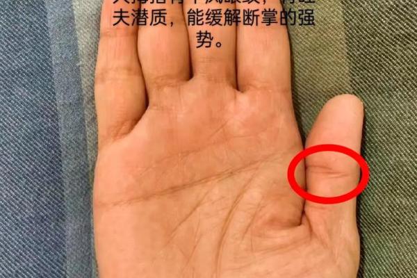 手相算命破解 手相算命破解