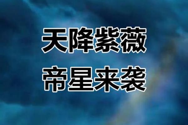 年天降紫薇星是后 年天降紫薇星是后