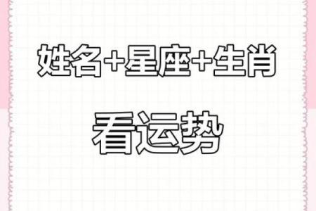 星座算命准还是属相算命准