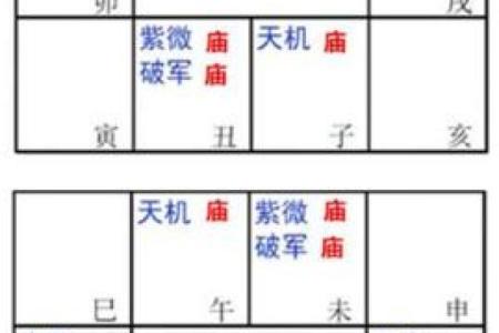 紫薇斗数流年对冲宫