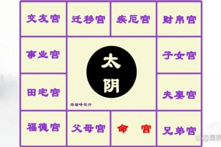 紫微斗数太阴星详解