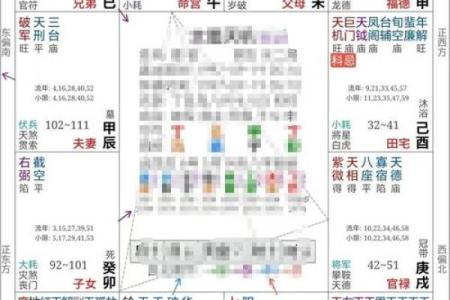 紫薇斗数八字算命软件
