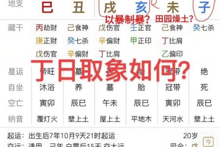 八字取象法 第13集 如何用八字取象
