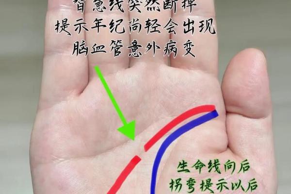 手型算命:你是什么手型? 手型算命:你是什么手型?