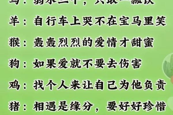 八字软:属相、性格特点、缺点分析及改善方法 八字软:属相、性格特点、缺点分析及改善方法