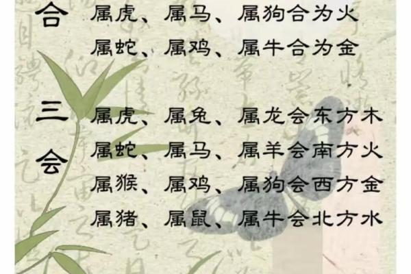 八字软:属相、性格特点、缺点分析及改善方法 八字软:属相、性格特点、缺点分析及改善方法