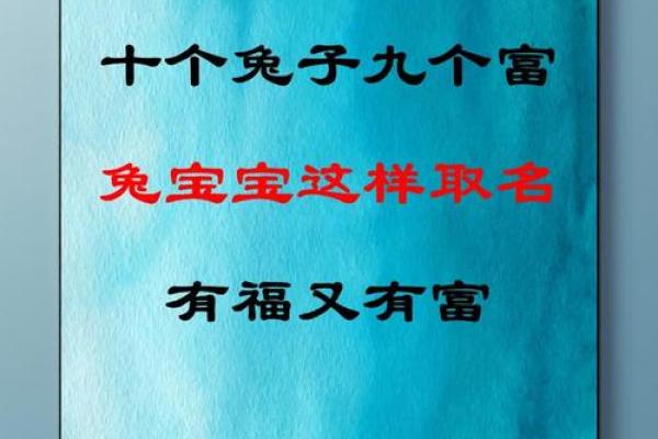 兔宝宝生辰八字 兔宝宝生辰八字