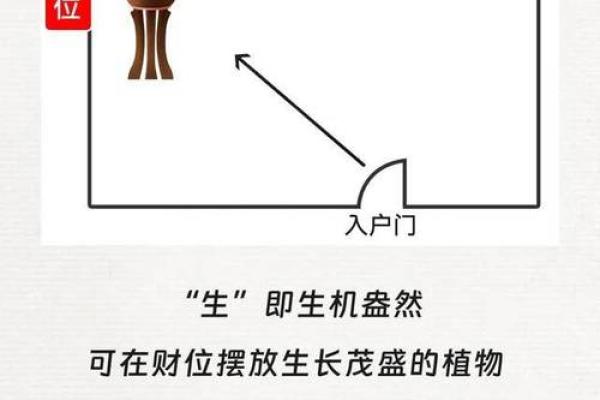 八字财位不是看财,看的是啥呢 八字财位不是看财,看的是啥呢