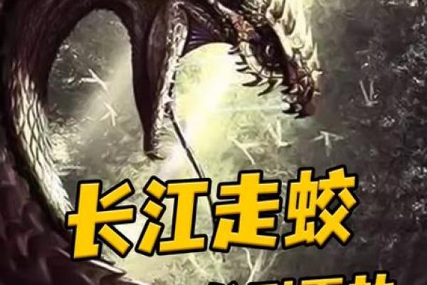 算命人说我是蛟龙 蛟龙命好吗 算命人说我是蛟龙 蛟龙命好吗