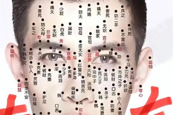 脸上黑痣算命图解吉凶 脸上黑痣算命图解吉凶