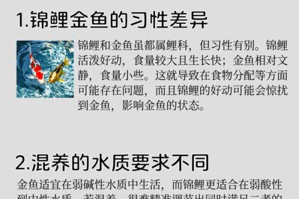 养鱼风水讲究需要注意哪些方面呢 养鱼风水讲究需要注意哪些方面呢