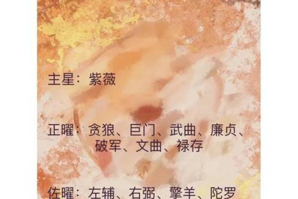 紫微斗数之迁移宫与诸星,天相星在迁移宫是什么意思? 紫微斗数之迁移宫与诸星,天相星在迁移宫是什么意思?