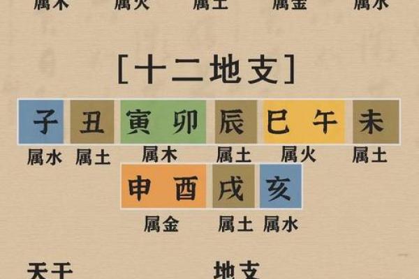 命理八字哪里学的好呢男