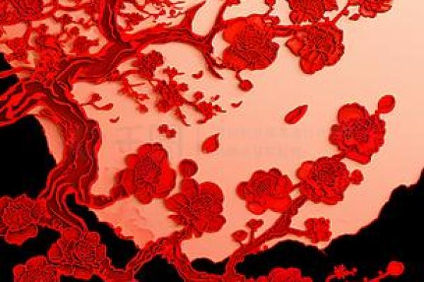 梅花窗花风水 梅花窗花风水