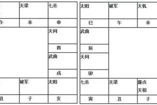 紫微斗数图录 紫薇斗数图? 紫微斗数图录 紫薇斗数图?