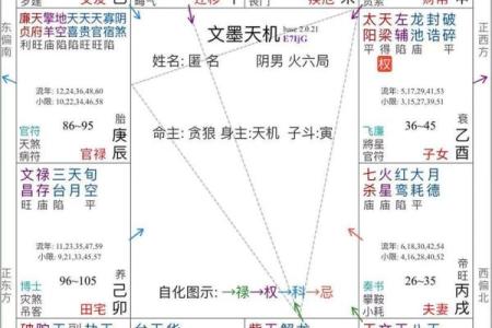 紫薇星命盘解读金牛座