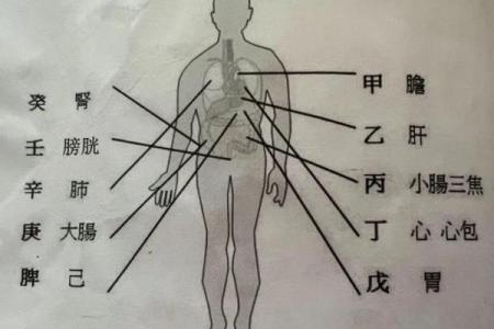 八字如何看健康与疾病 （二）