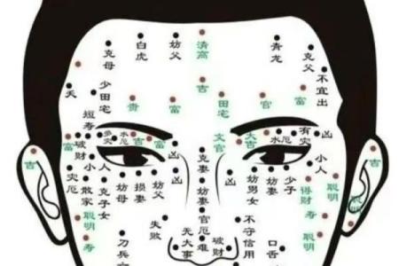 脸上黑痣算命图解吉凶