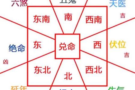 老房子里种什么好看风水