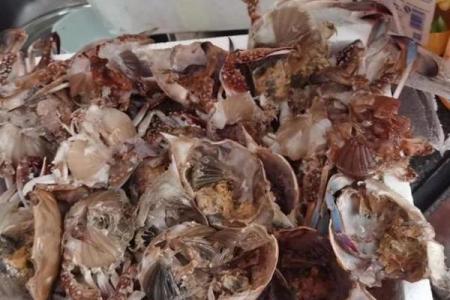 哪个星座的人最喜欢吃螃蟹