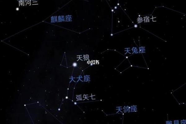 猎户座中最亮的星是哪颗星座