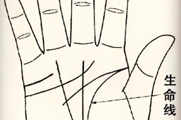 风水手相:生命线短的女人短命吗 风水手相:生命线短的女人短命吗
