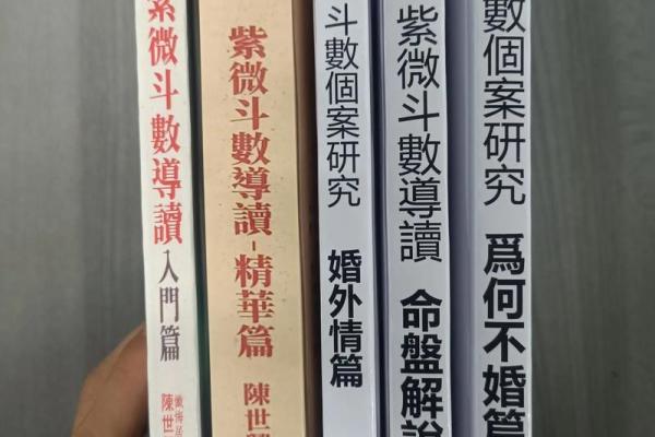 《紫薇斗数全书》下载 《紫薇斗数全书》下载