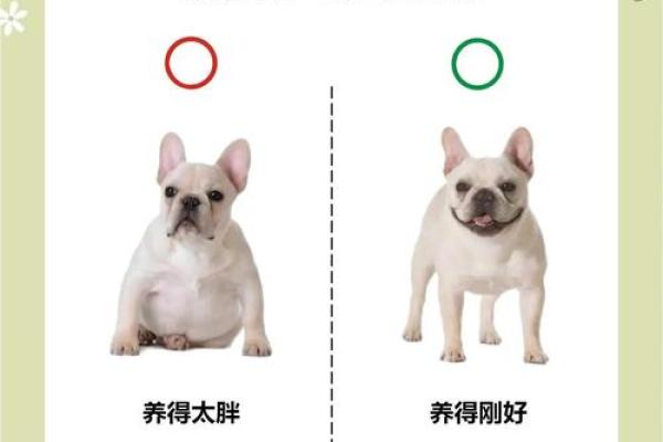 哪些人八字中不宜吃狗肉