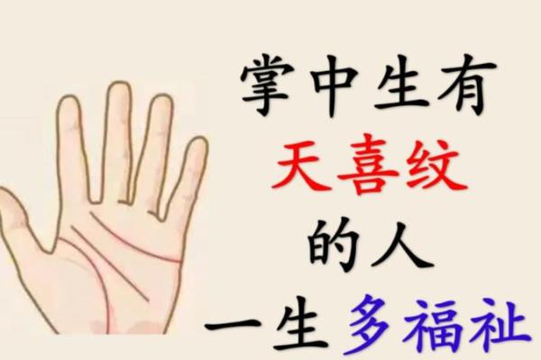 八字和手相 八字和手相