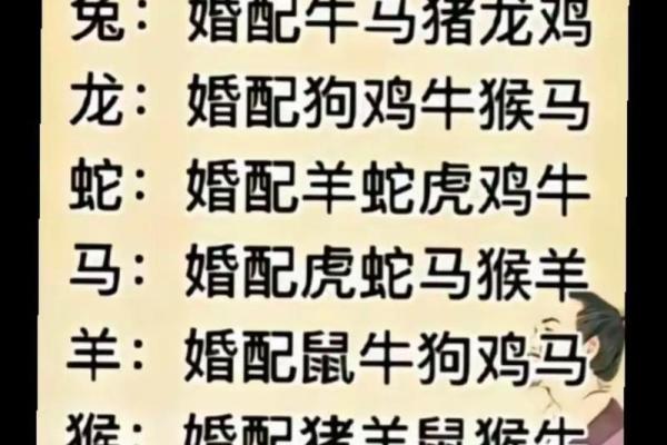 87兔和92猴的姻缘如何 87兔和92猴的八字合不合 87兔和92猴的姻缘如何 87兔和92猴的八字合不合