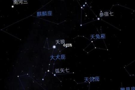猎户座中最亮的星是哪颗星座