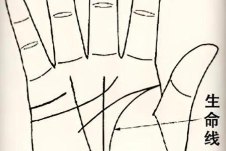 风水手相：生命线短的女人短命吗