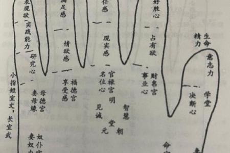 看手相算命婚姻