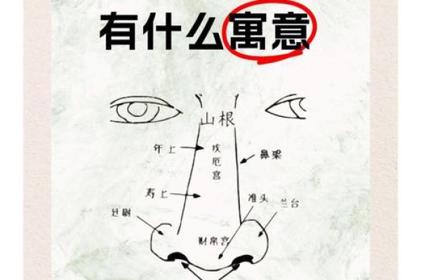 风流女人的面相痣算命