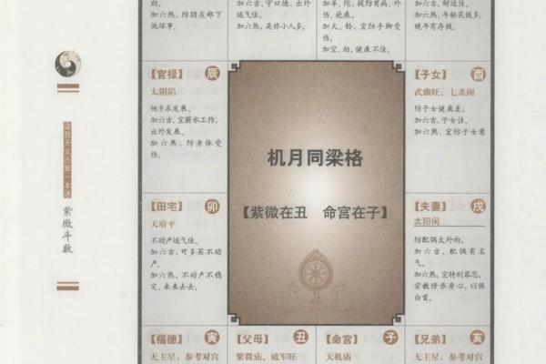 紫薇斗数书籍在线观看 紫薇斗数书籍在线观看