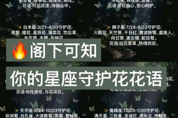每个星座适合是么花 每个星座适合是么花