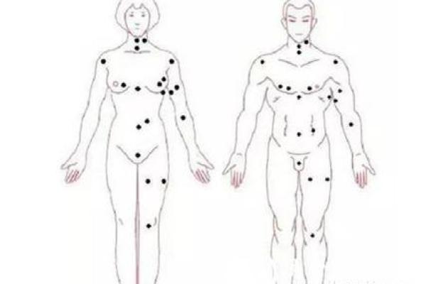 非你莫属女生现场算命 非你莫属女生现场算命